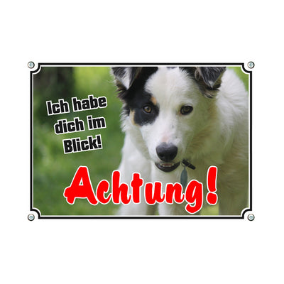 Border Collie - Habe dich im Blick – Hundeschild aus Aluminium