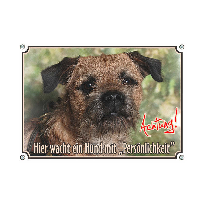 Border Terrier - Hier wachte ich