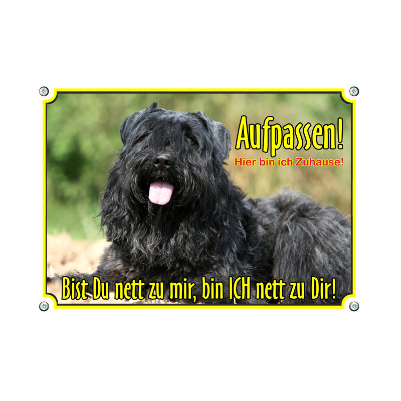 Bouvier des Flandres - Aufpassen