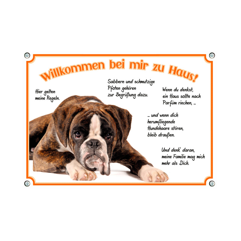 Boxer - Willkommwn
