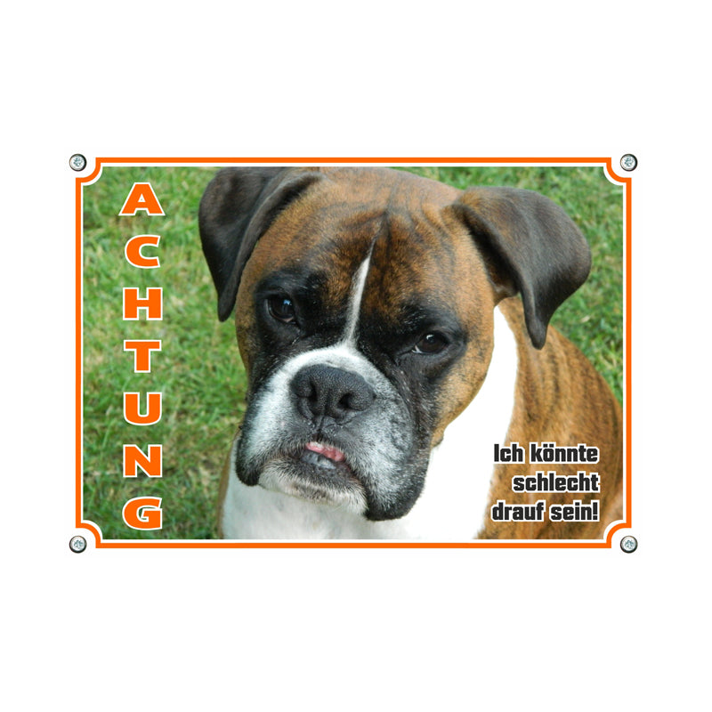 Boxer - Achtung