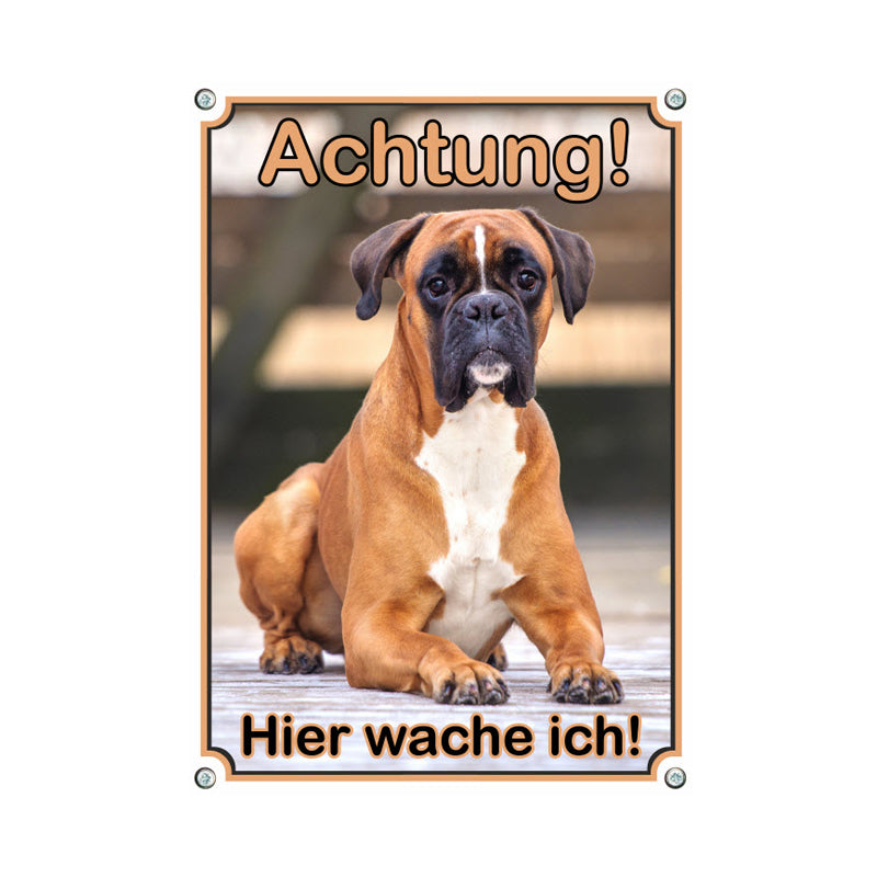 Boxer - Hier wache ich