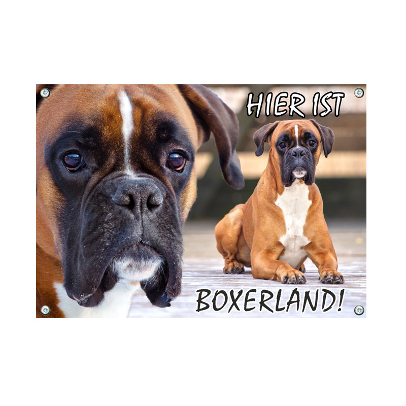 Boxer - Boxerland