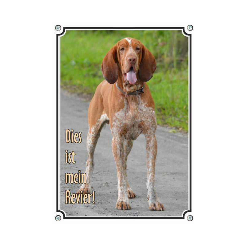 Bracco Italiano - Dies ist mein Revier