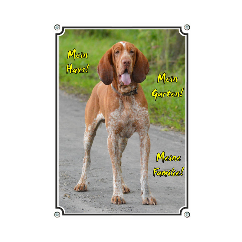 Bracco Italiano - Mein Haus Mein Garten Meine Famile