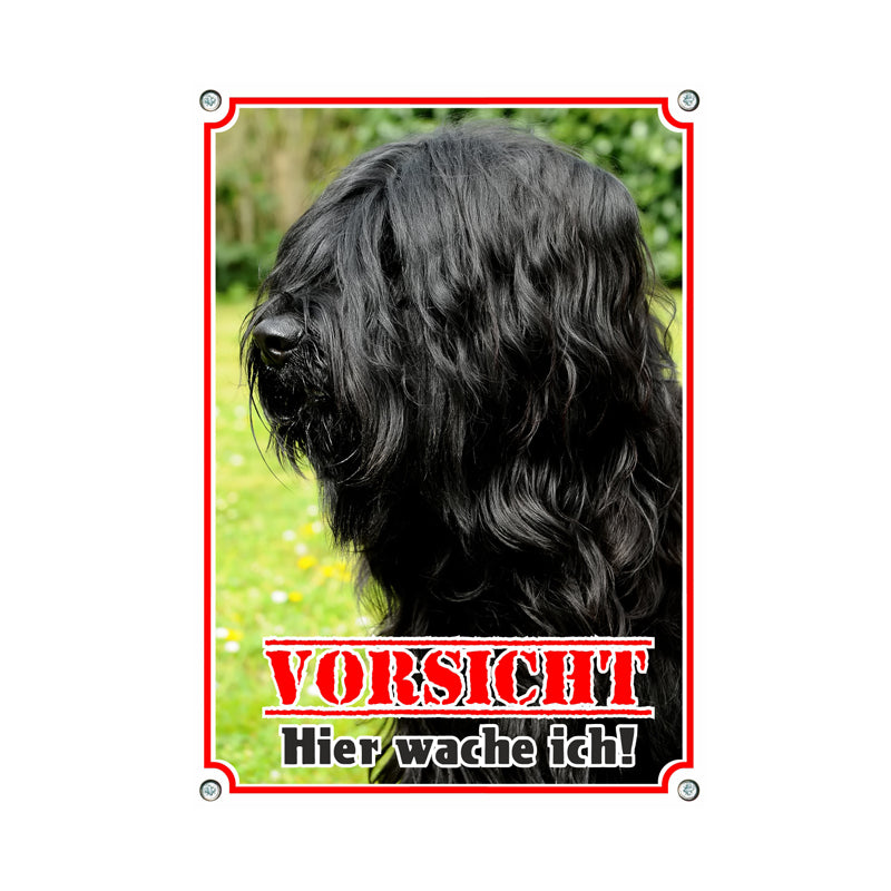 Briard - Vorsicht