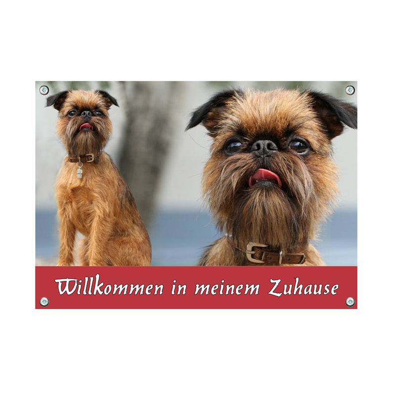 Brüssler Griffon - Mein Zuhause