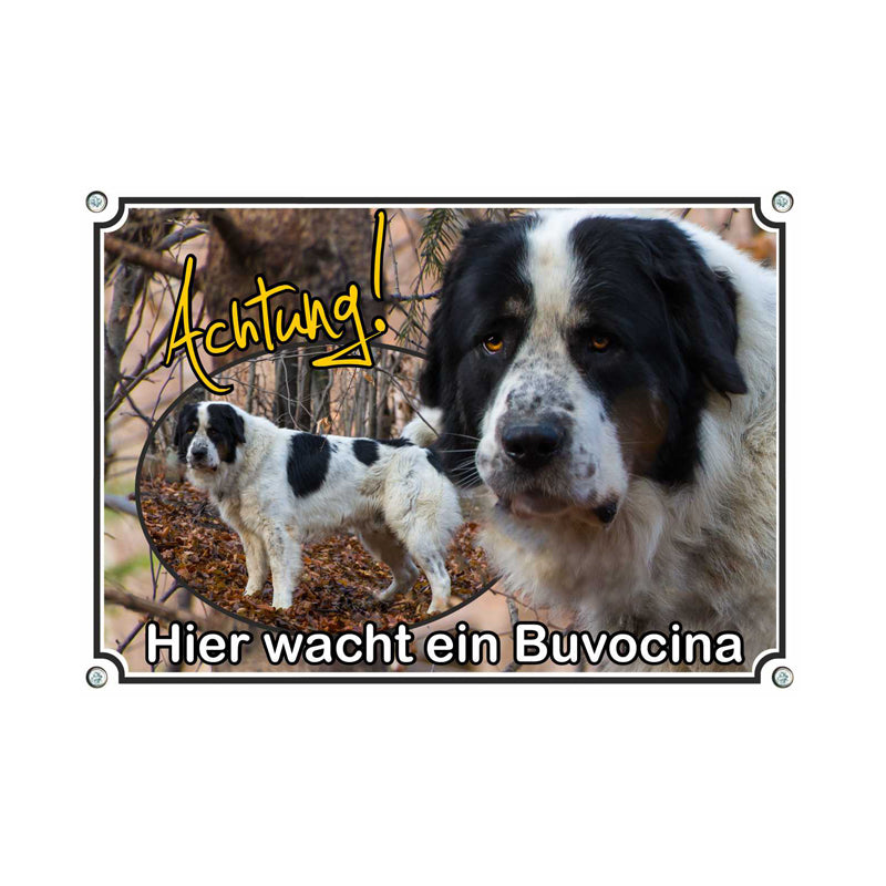 Bucovina - Hier wacht ein Bucovina