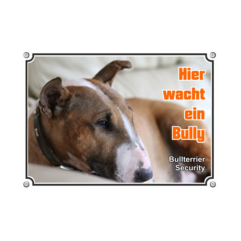 Bullterrier - Hier wacht ein Bully