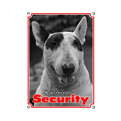 Bullterrier - Security