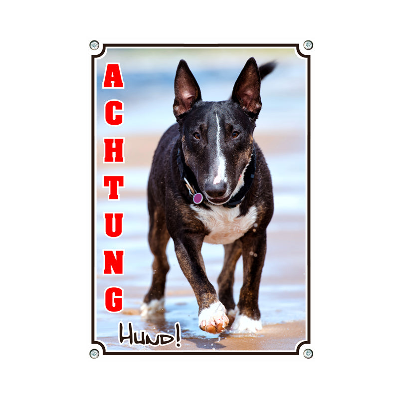 Bullterrier - Achtung Hund