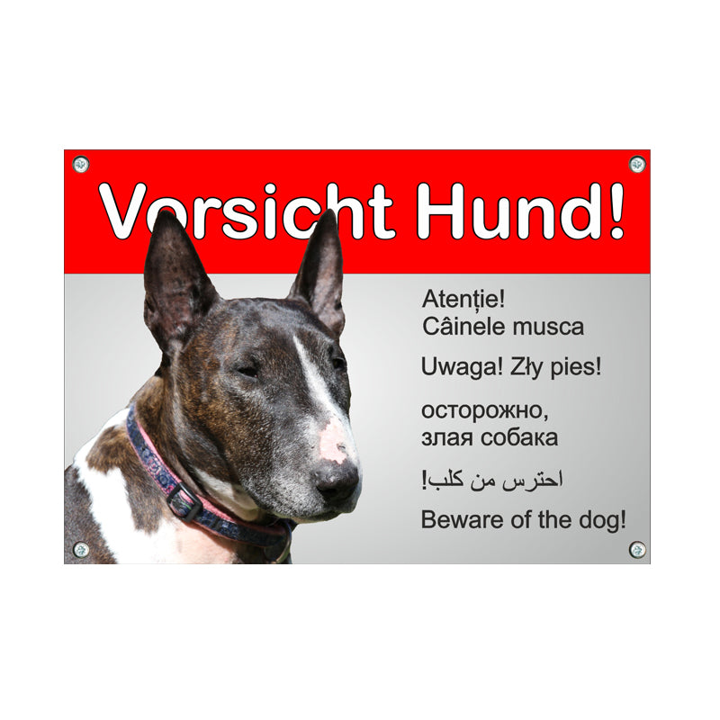 Bullterrier - 6 Sprachen