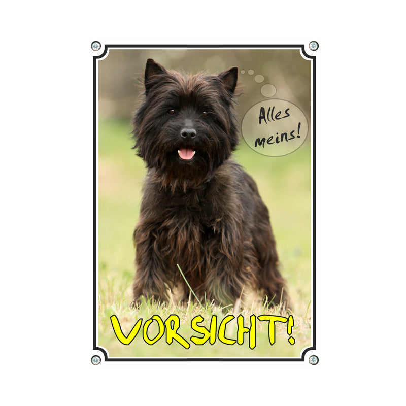 Cairn Terrier - Vorsicht alles meins