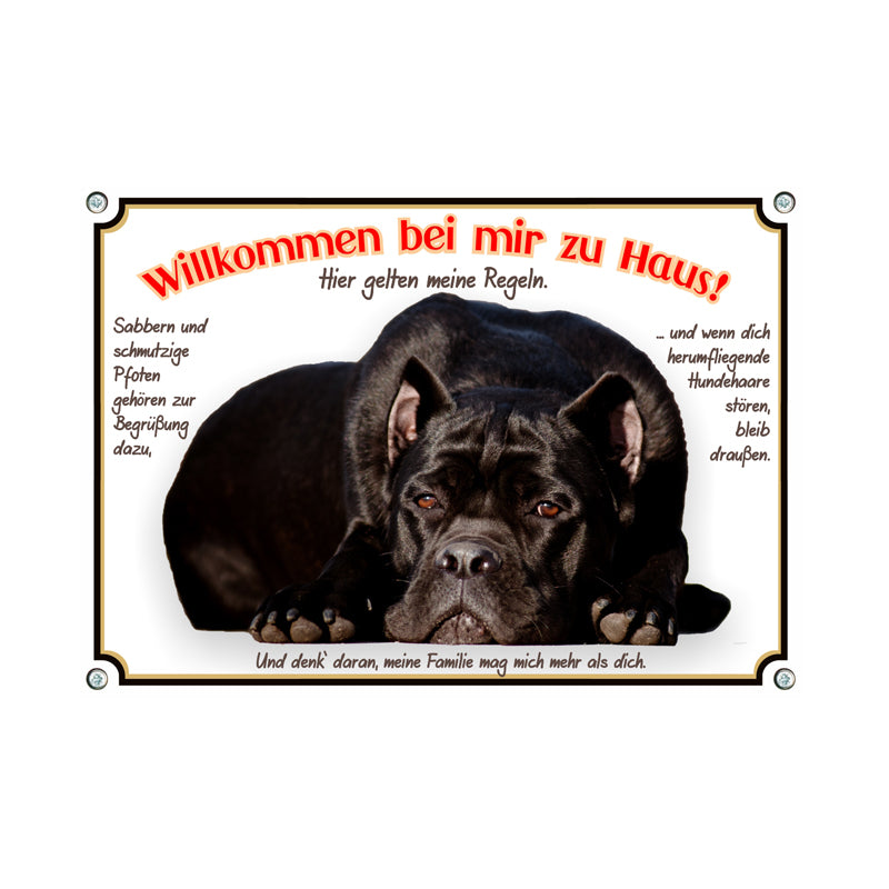 Cane Corso - Willkommen bei mir