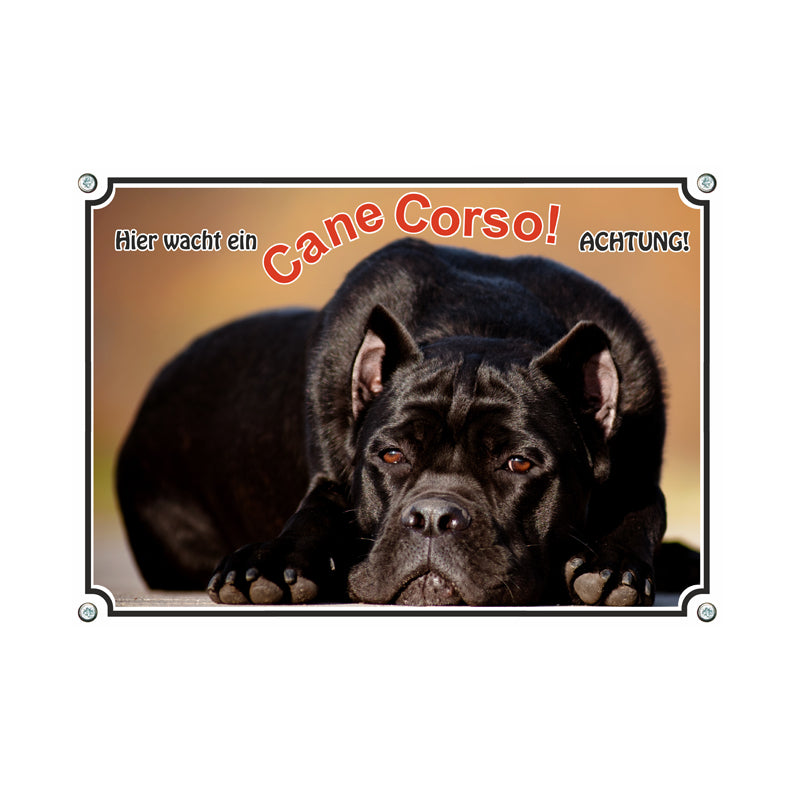 Cane Corso - Achtung hier wacht ein