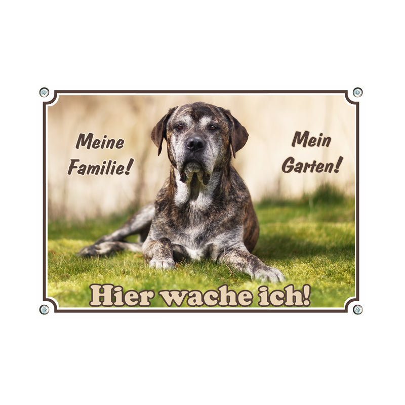 Cane Corso - Hier wache ich