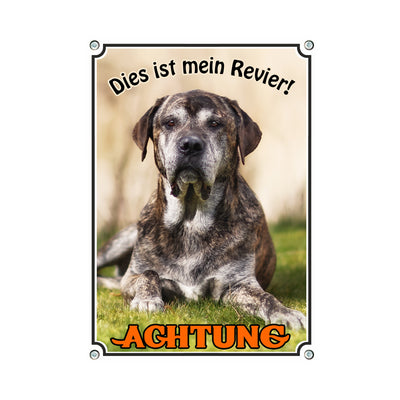 Cane Corso - Achtung mein Revier