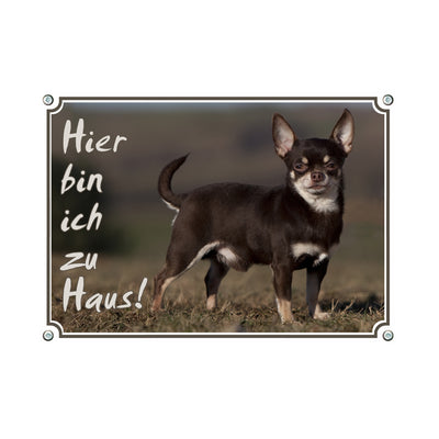 Chihuahua - Hier bin ich zu Haus – Hundeschild aus Aluminium