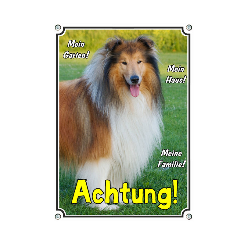 Collie - Mein Haus Mein Garten Meine Familie