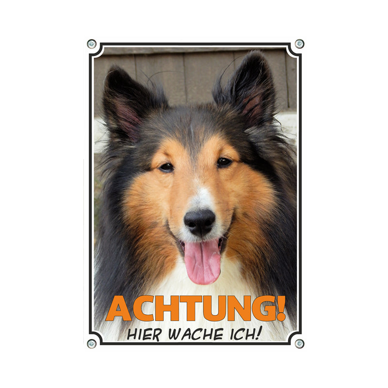 Collie - Achtung Hier wache ich