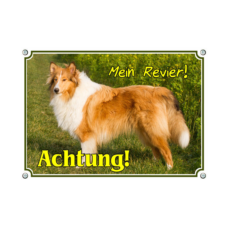 Collie - Achtung mein Revier