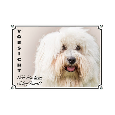 Coton de Tulear - kein Schoßhund – Hundeschild aus Aluminium
