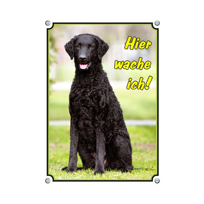 Curly Coated Retriever - Hier wache ich – Hundeschild aus Aluminium