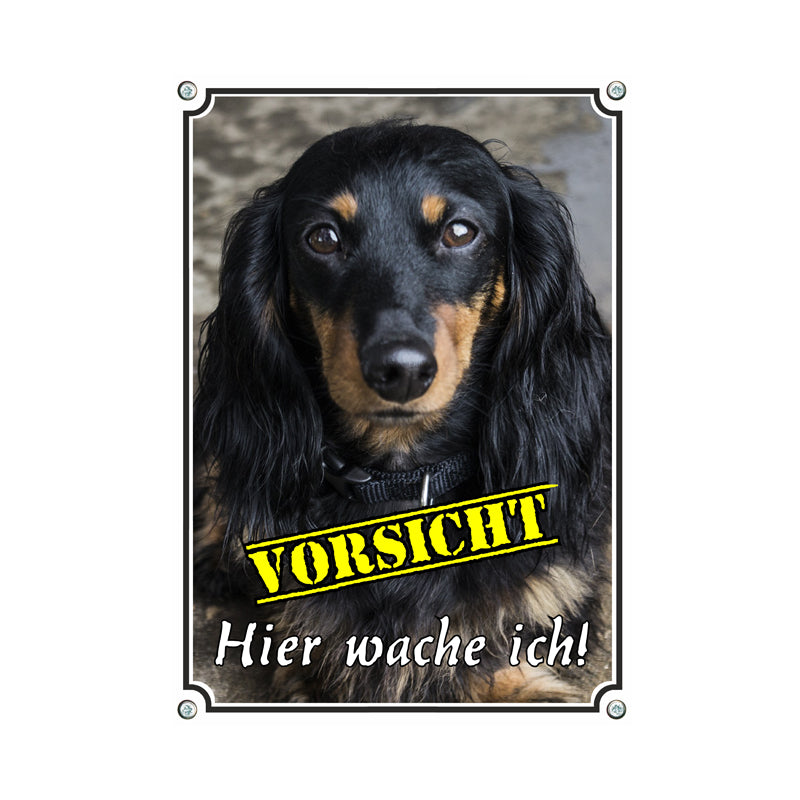 Dackel - Hier wache ich