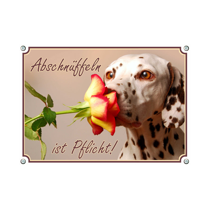Dalmatiner - Abschnüffeln