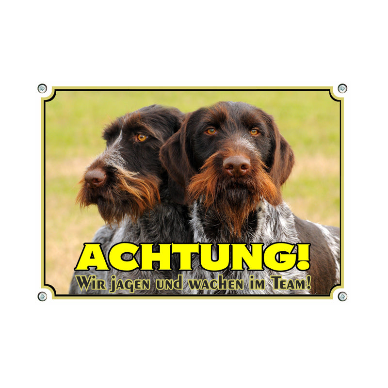 Deutscher Drahthaar - Wir jagen im Team