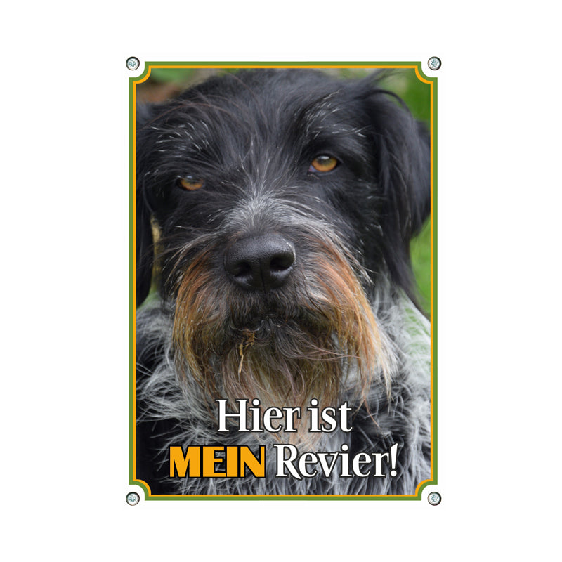 Deutscher Drahthaar - Mein Revier