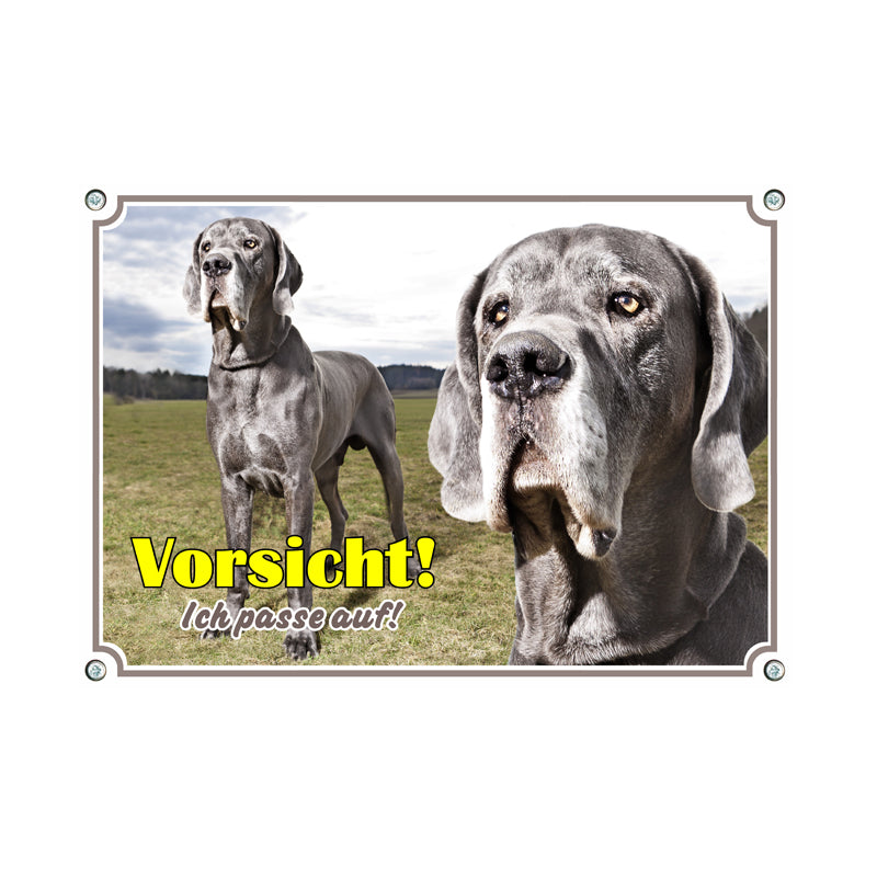 Deutsche Dogge - Ich passe auf