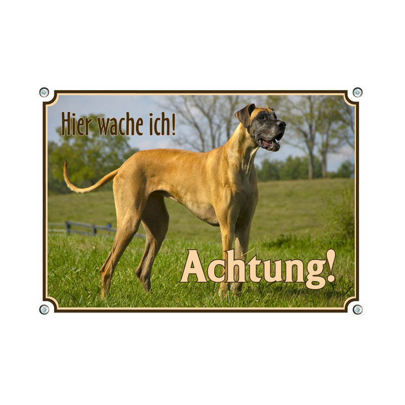 Deutsche Dogge - Hier wache ich