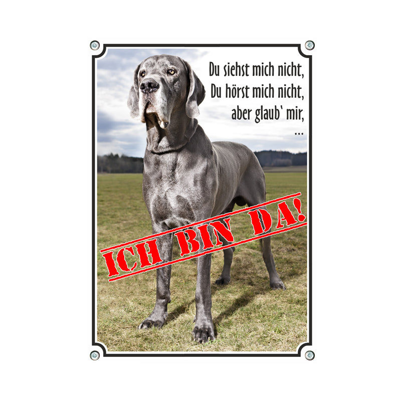 Deutsche Dogge - ich bin da