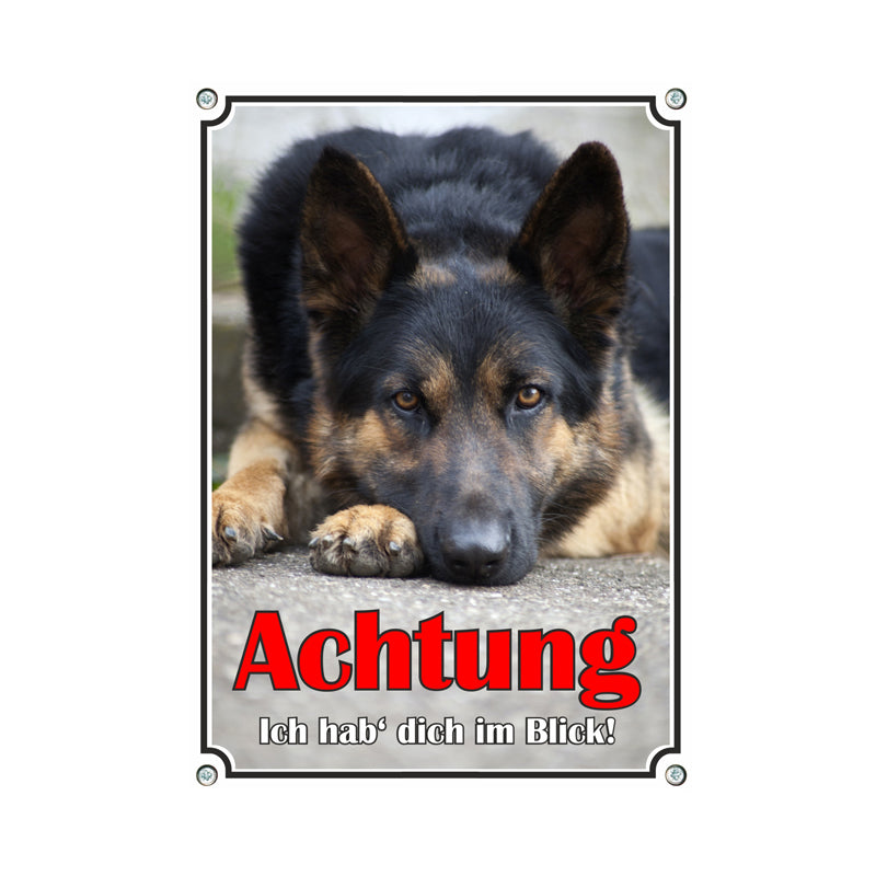 Deutscher Schäferhund - im Blick – Tierschilder Manufaktur