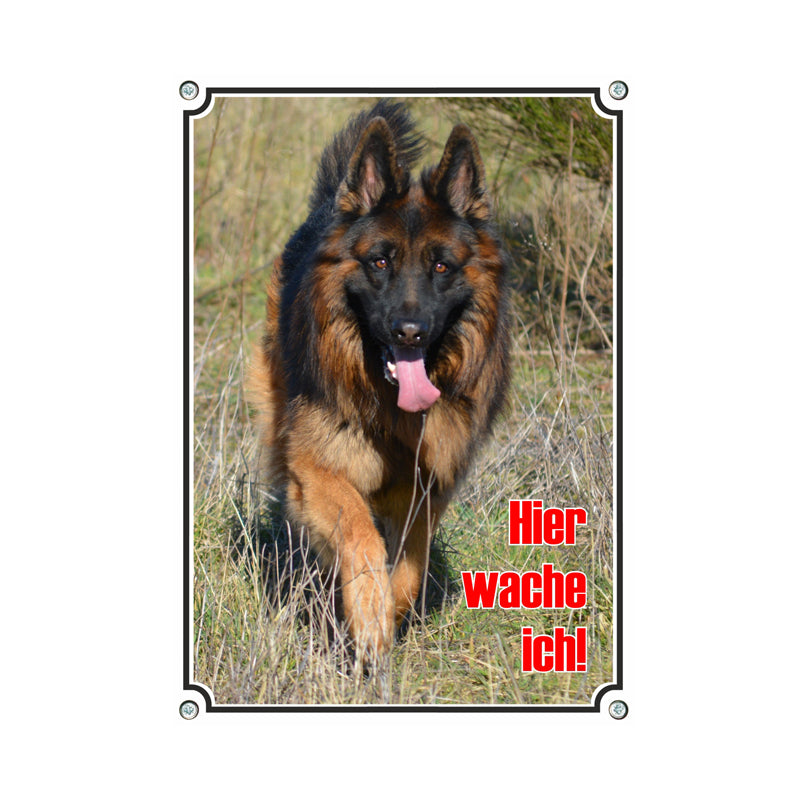Deutscher Schäferhund - Hier wache ich