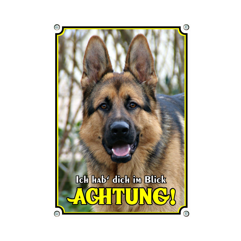 Deutscher Schäferhund - Ich hab dich im Blick
