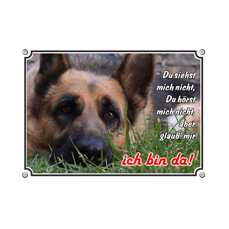 Deutscher Schäferhund - Ich bin da