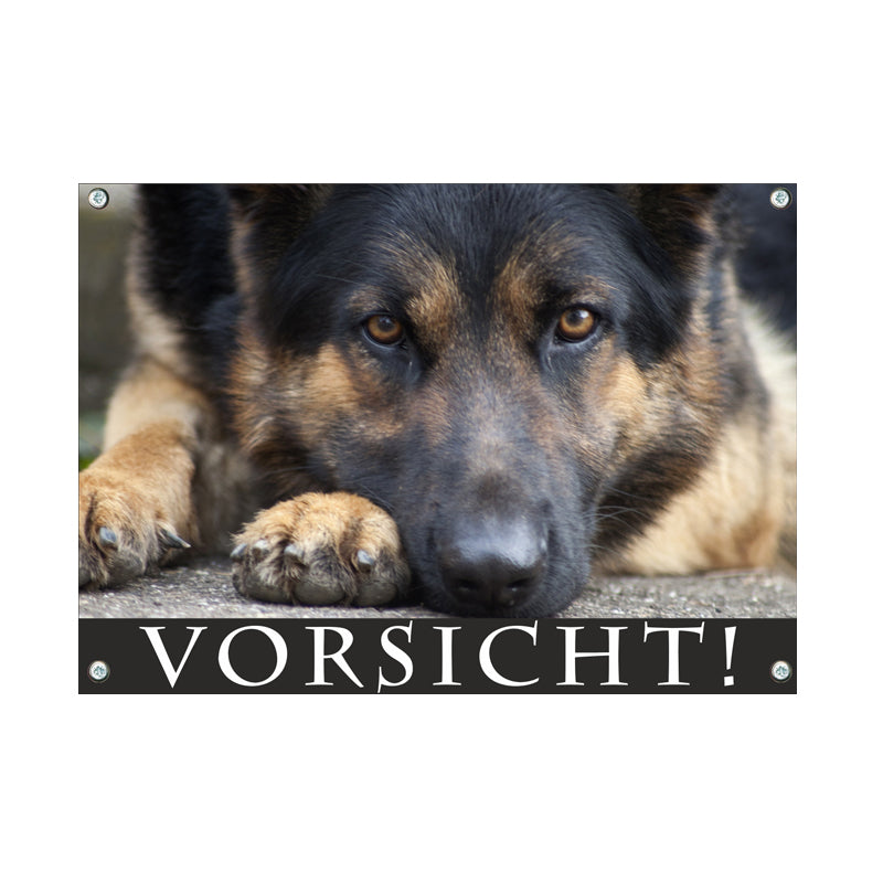 Deutscher Schäferhund - Vorsicht