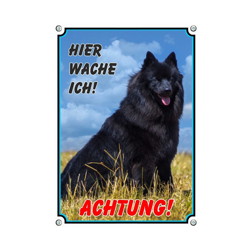 Deutscher Spitz - Hier wache ich