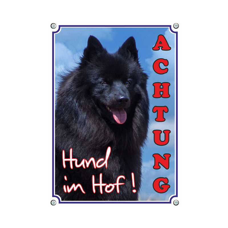 Deutscher Spitz - Hund im Hof