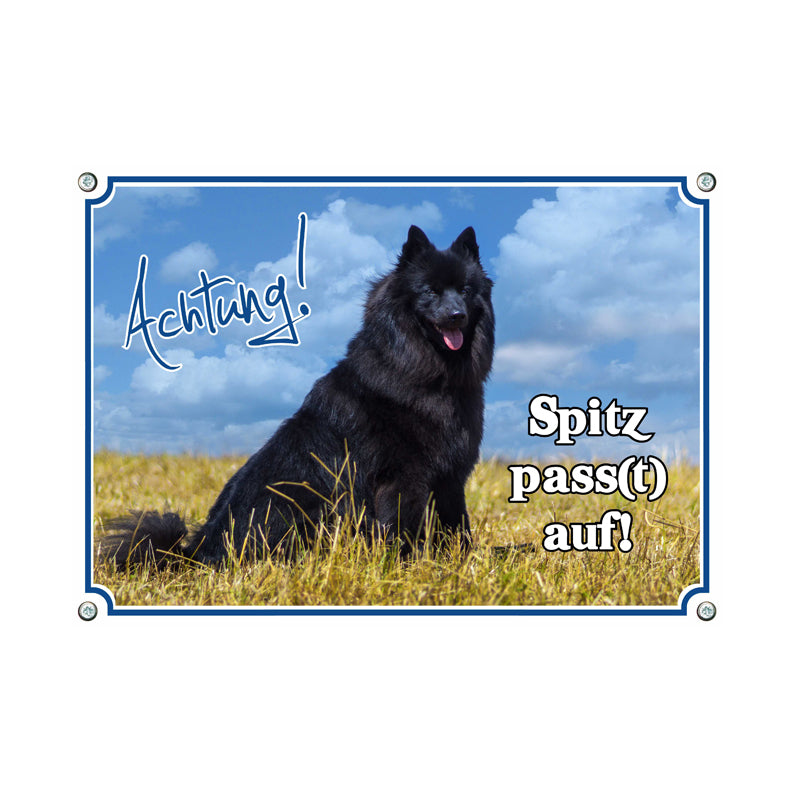 Deutscher Spitz - Spitz passt auf