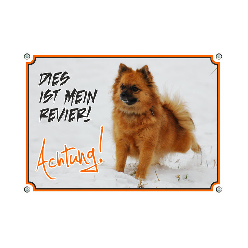 Deutscher Spitz - Das ist mein Revier
