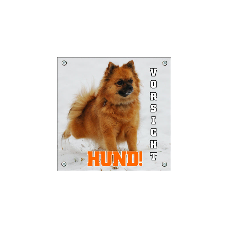 Deutscher Spitz - Vorischt Hund
