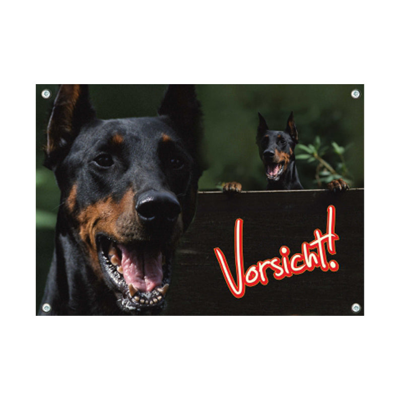 Dobermann - Vorsicht