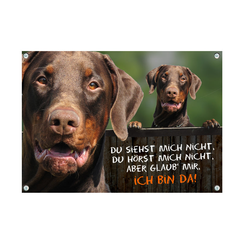 Dobermann - Du siehst mich nicht