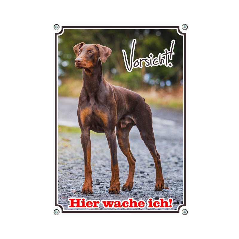 Dobermann - Wache