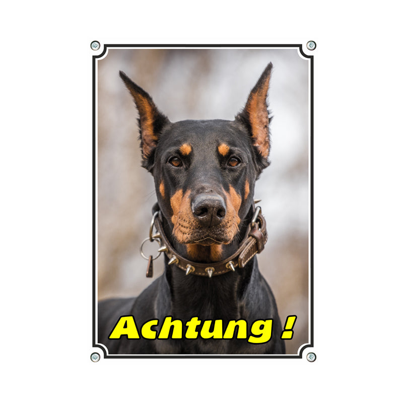 Dobermann - Achtung