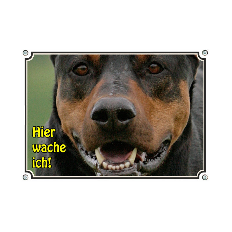 Dobermann - Hier wache ich