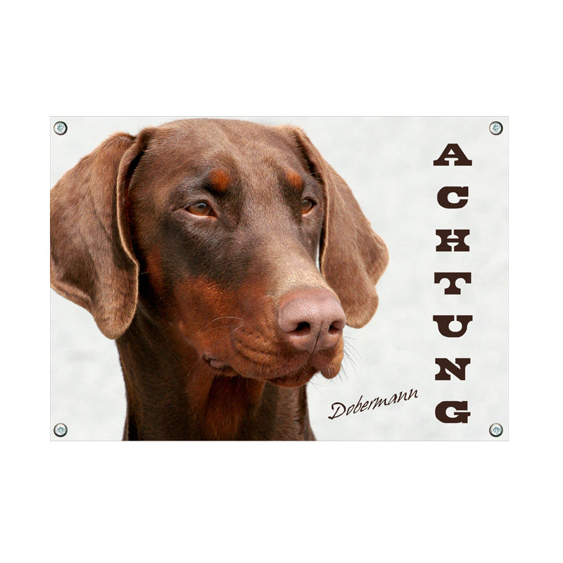 Dobermann - Achtung